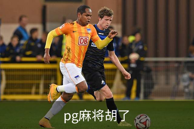 pg麻将胡了公司简介